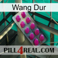 Hard Wang 09